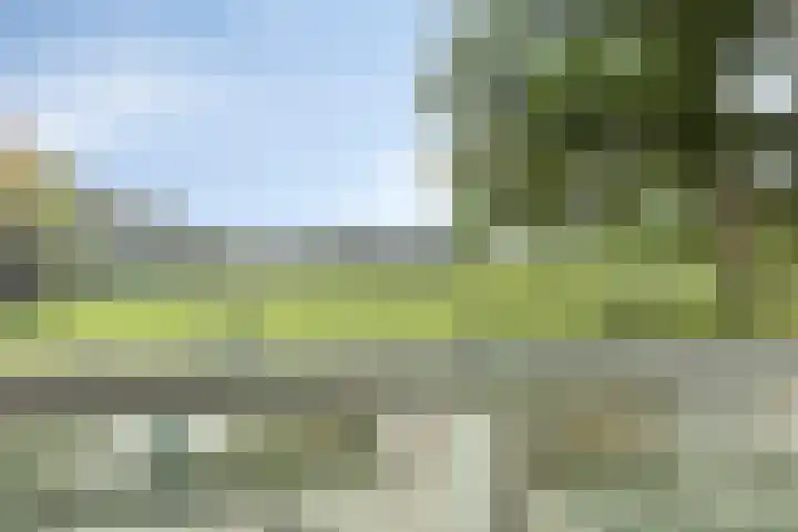 Hoofdweg 312 Paterswolde thumbnail 23