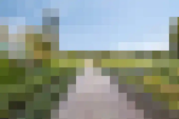Hoofdweg 312 Paterswolde thumbnail 33