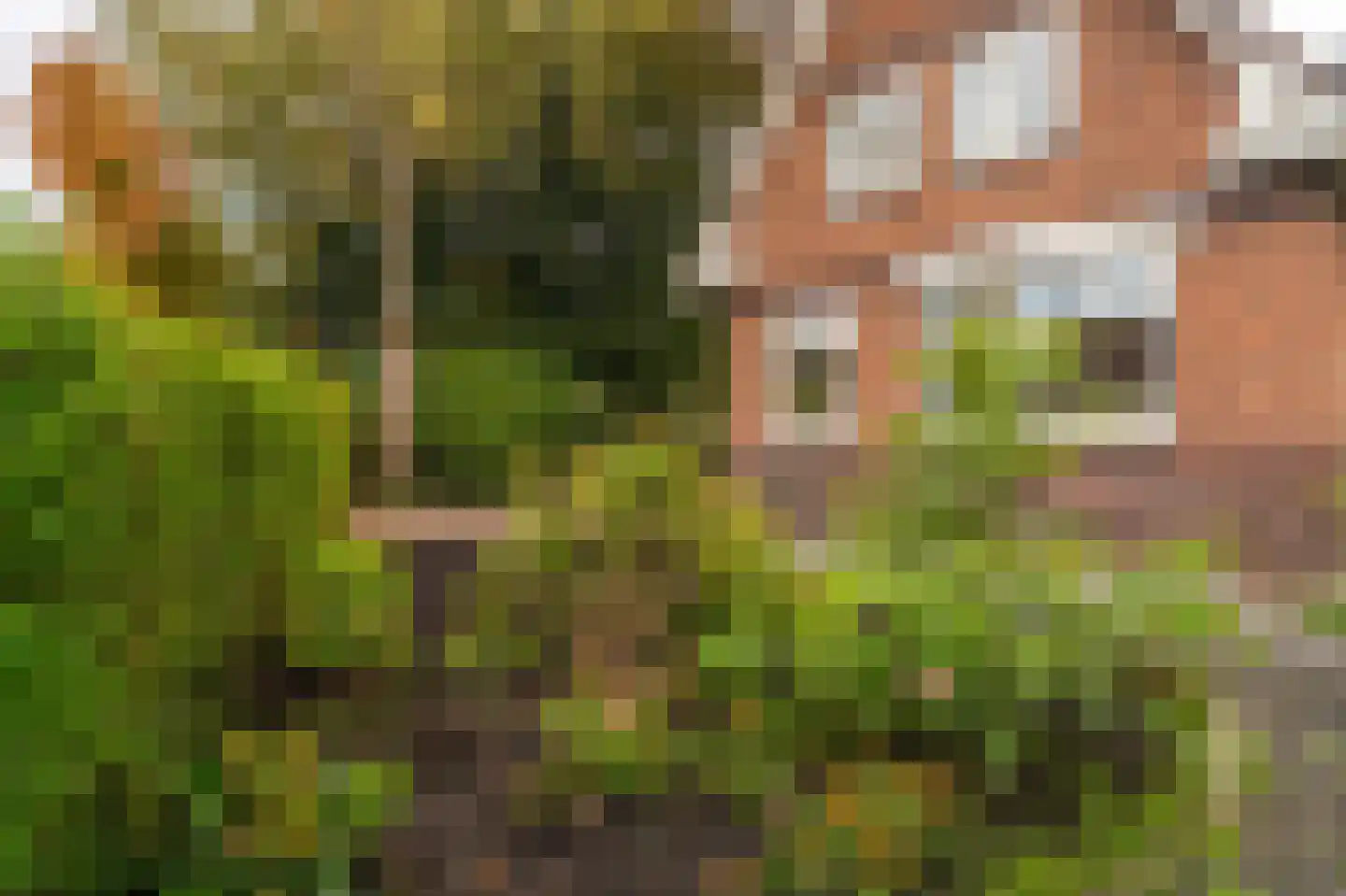 Hoofdweg 32 Blijham thumbnail 13