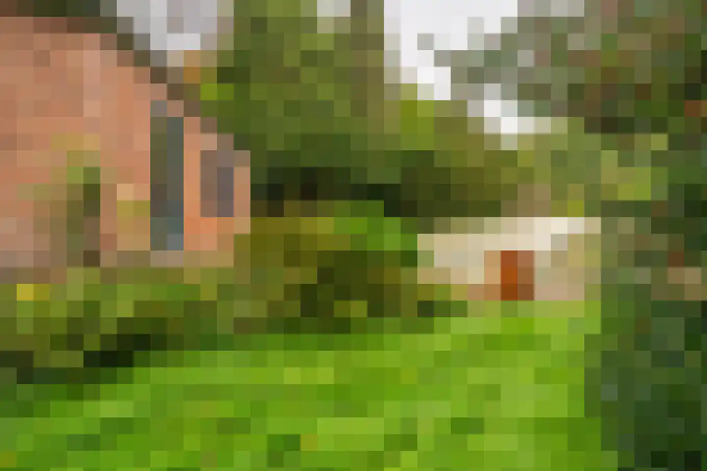 Hoofdweg 32 Blijham thumbnail 21