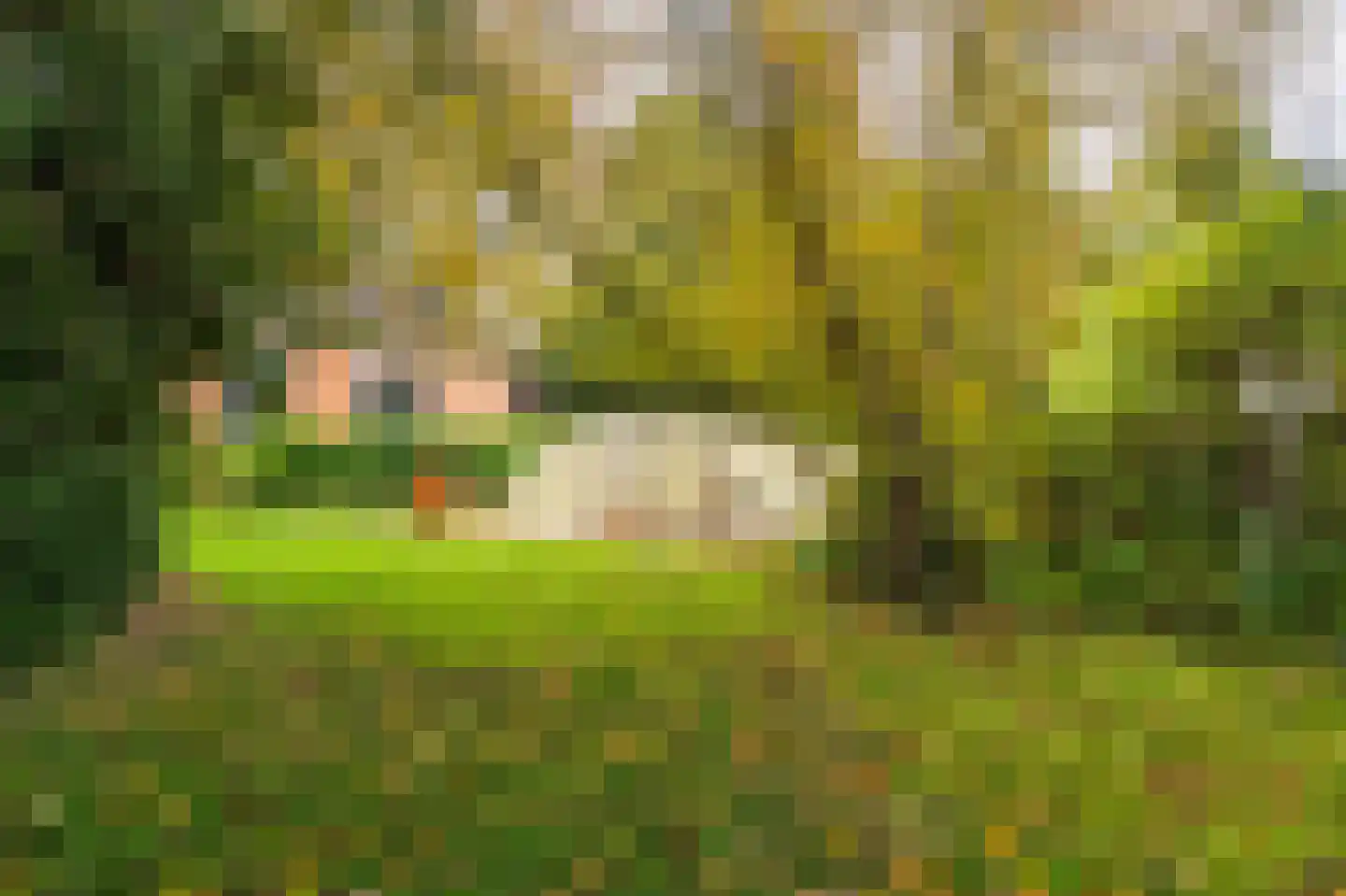 Hoofdweg 32 Blijham thumbnail 23