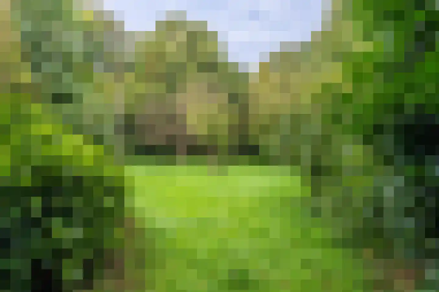 Hoofdweg 32 Blijham thumbnail 24