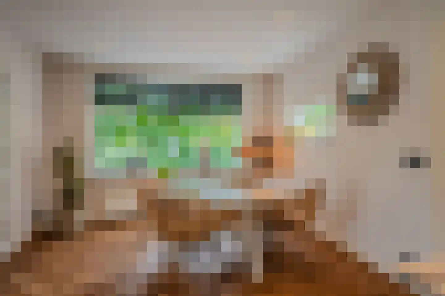 Hoofdweg 32 Blijham thumbnail 33