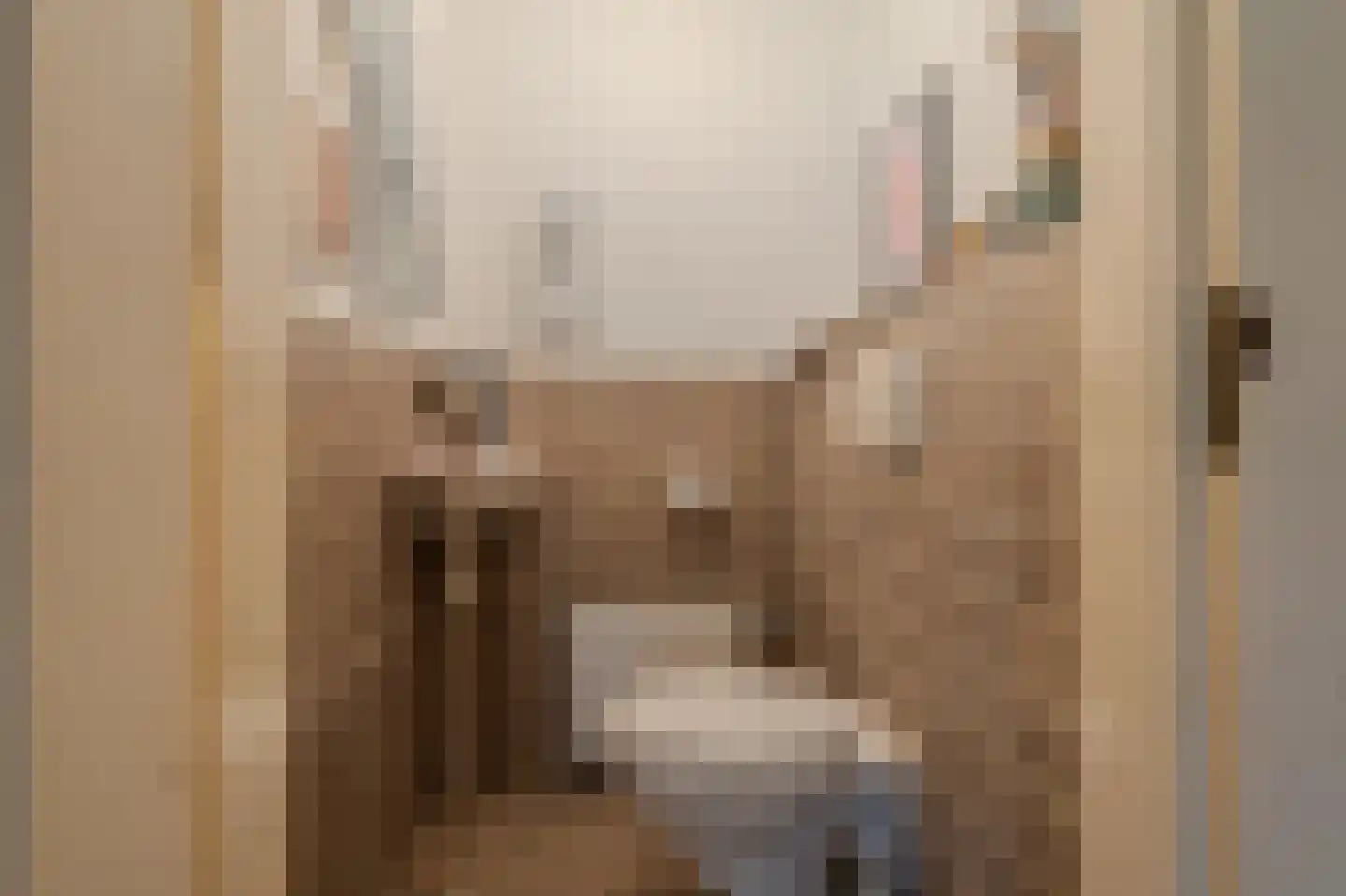 Hoofdweg 32 Blijham thumbnail 36