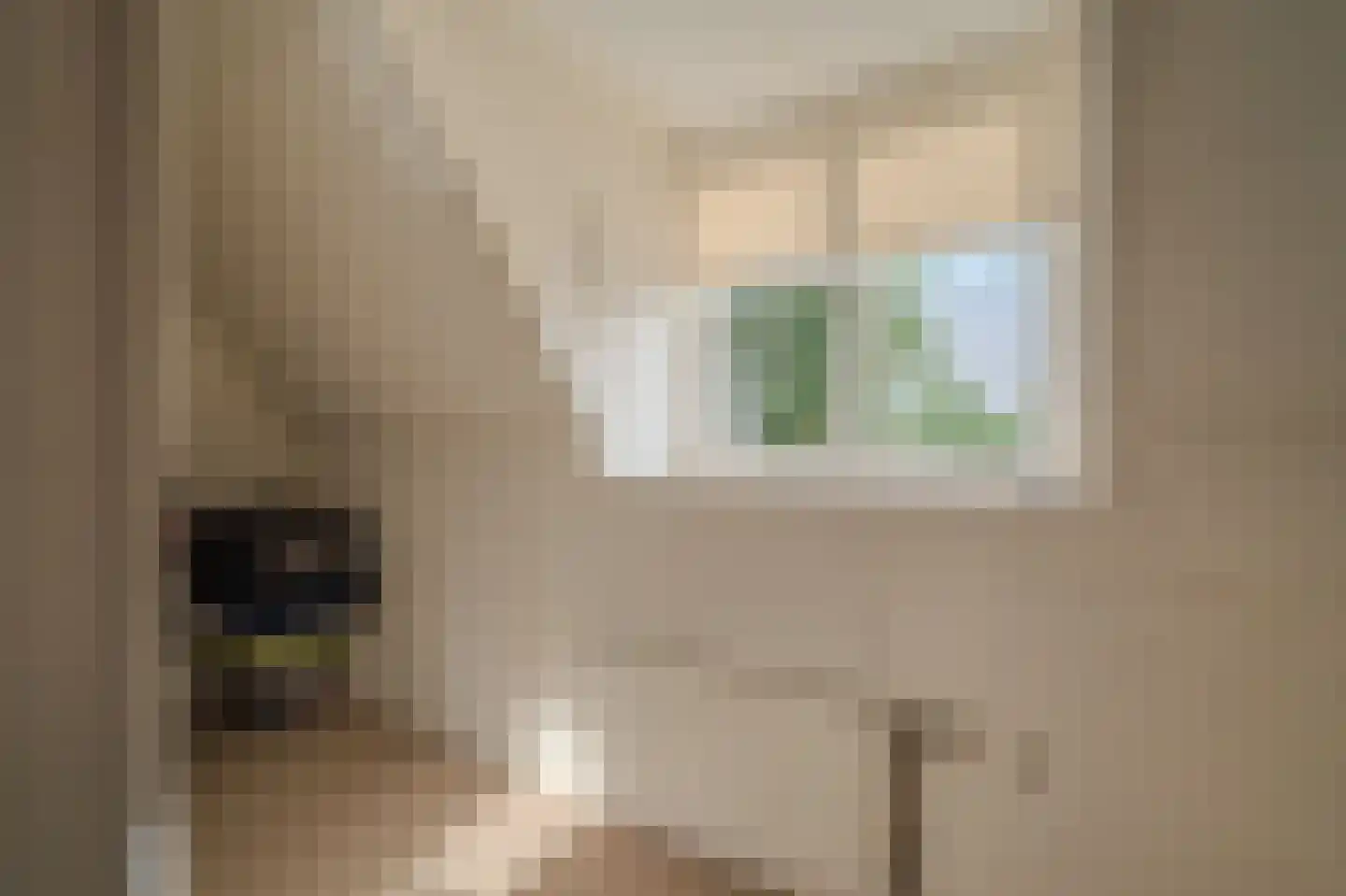 Hoofdweg 32 Blijham thumbnail 60