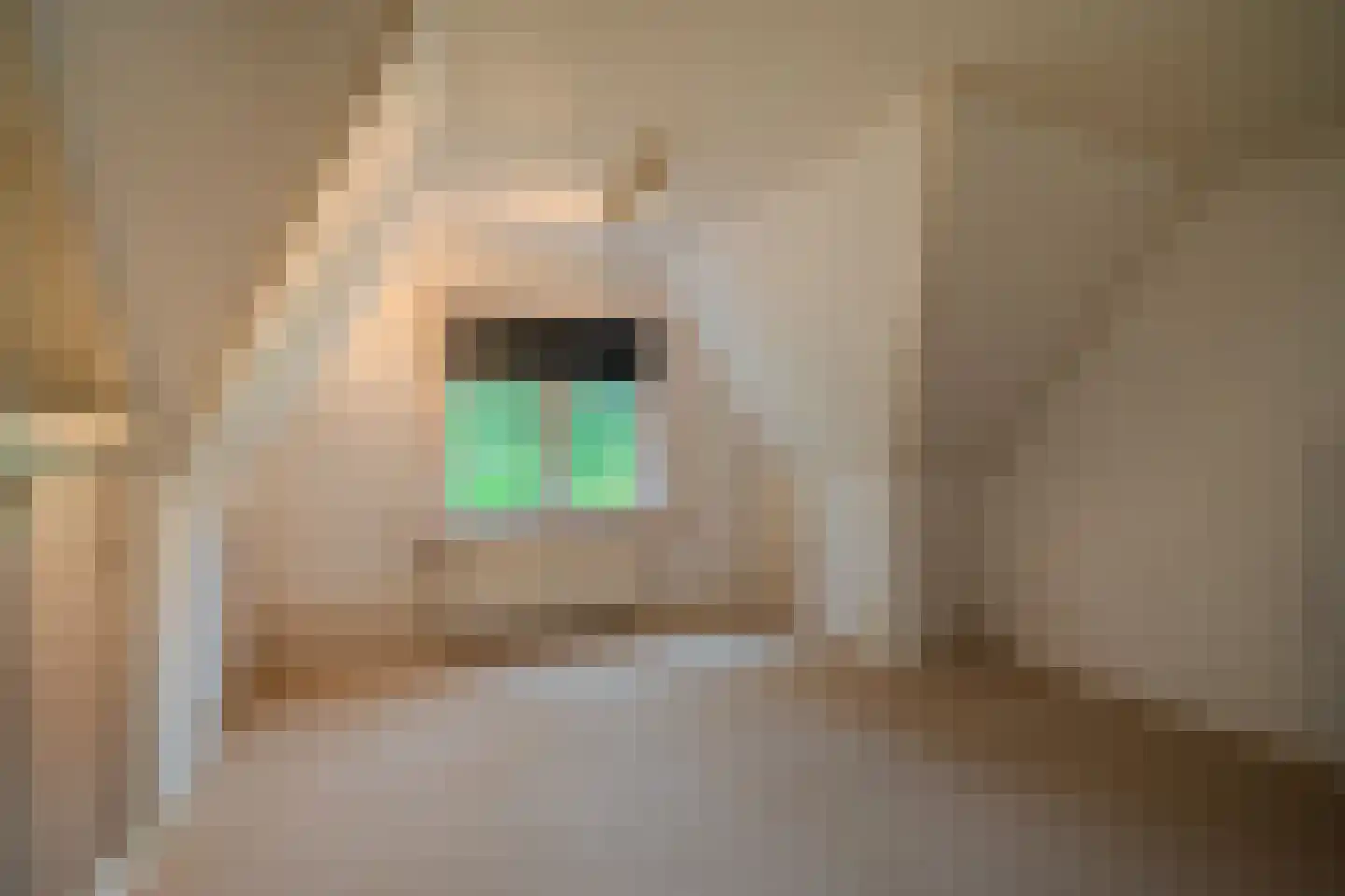 Hoofdweg 32 Blijham thumbnail 63