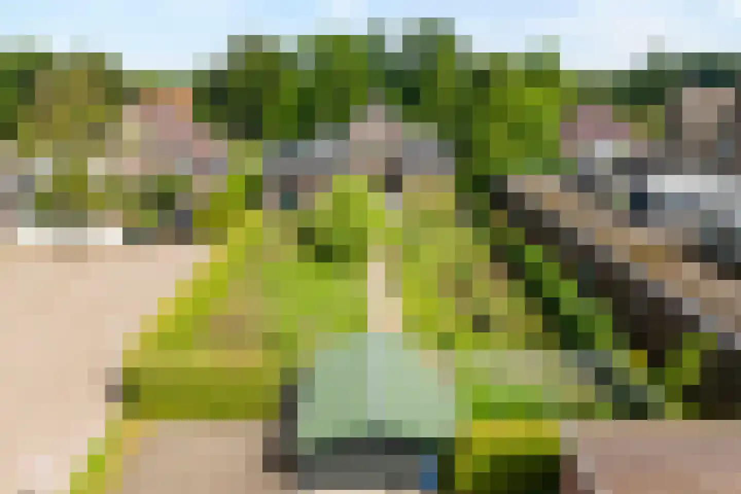 Hoofdweg 32 De Krim thumbnail 50