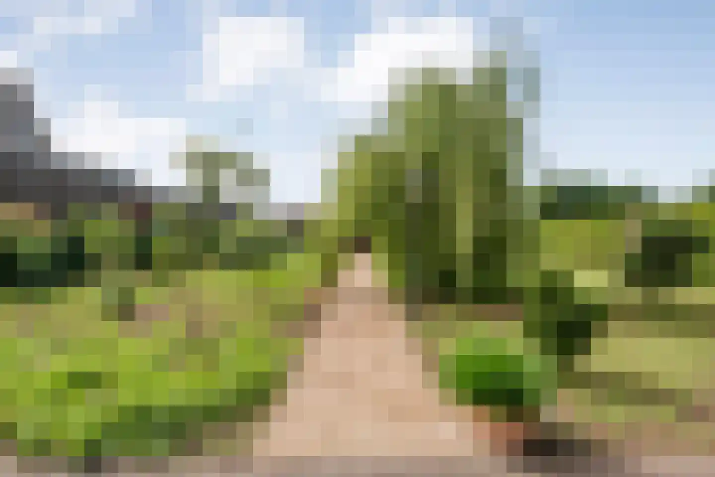 Hoofdweg 32 De Krim thumbnail 57