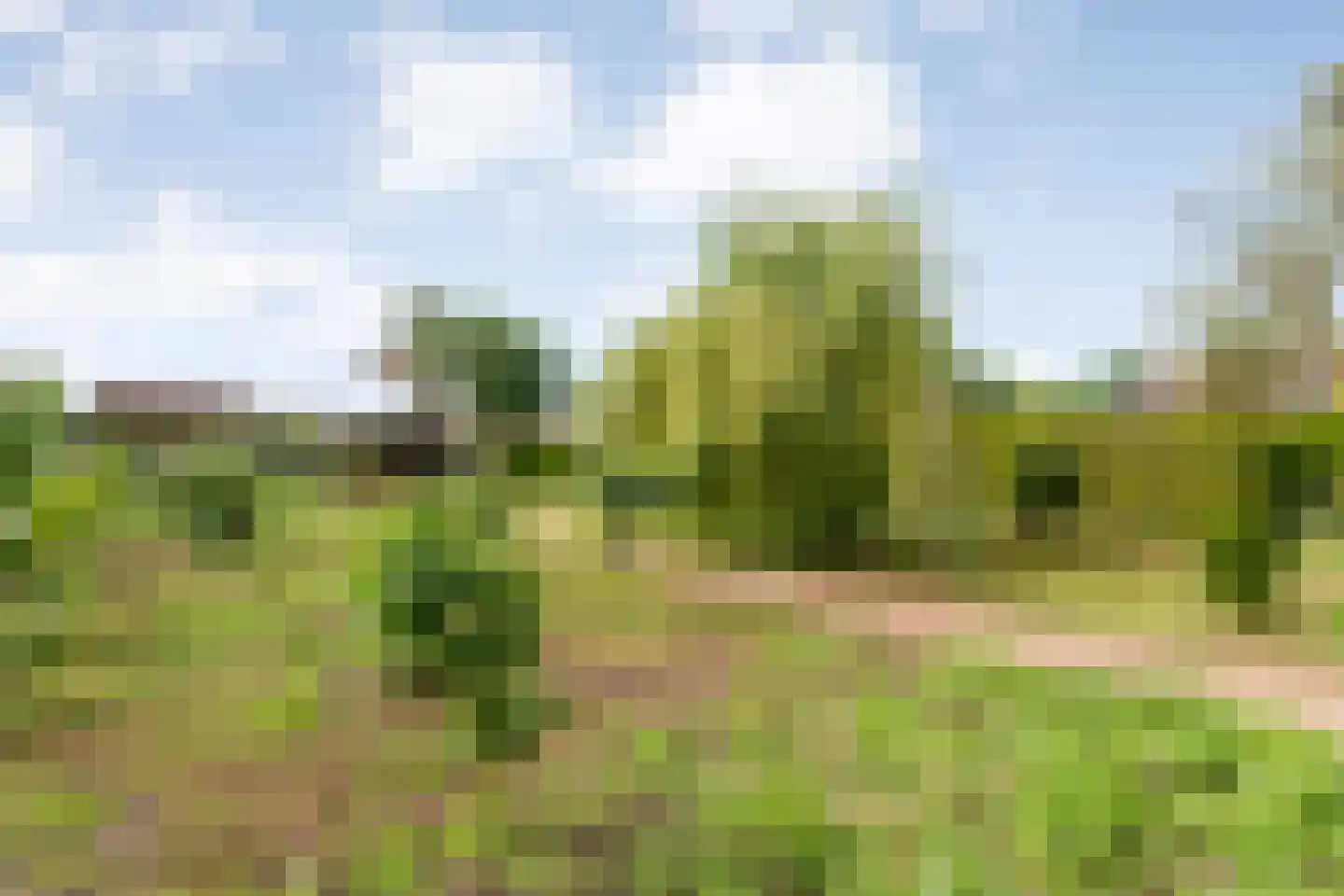 Hoofdweg 32 De Krim thumbnail 59