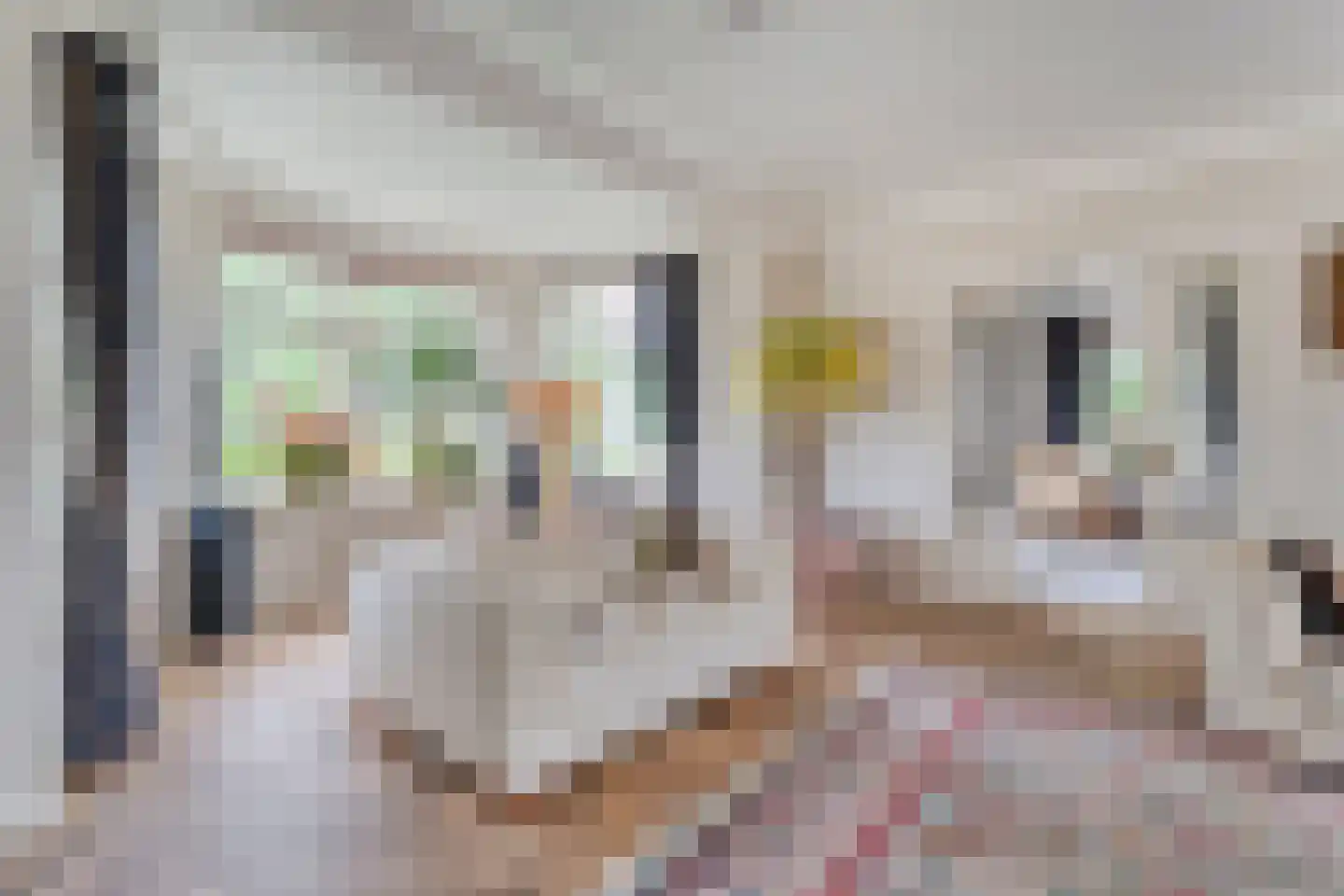 Hoofdweg 32 De Krim thumbnail 6