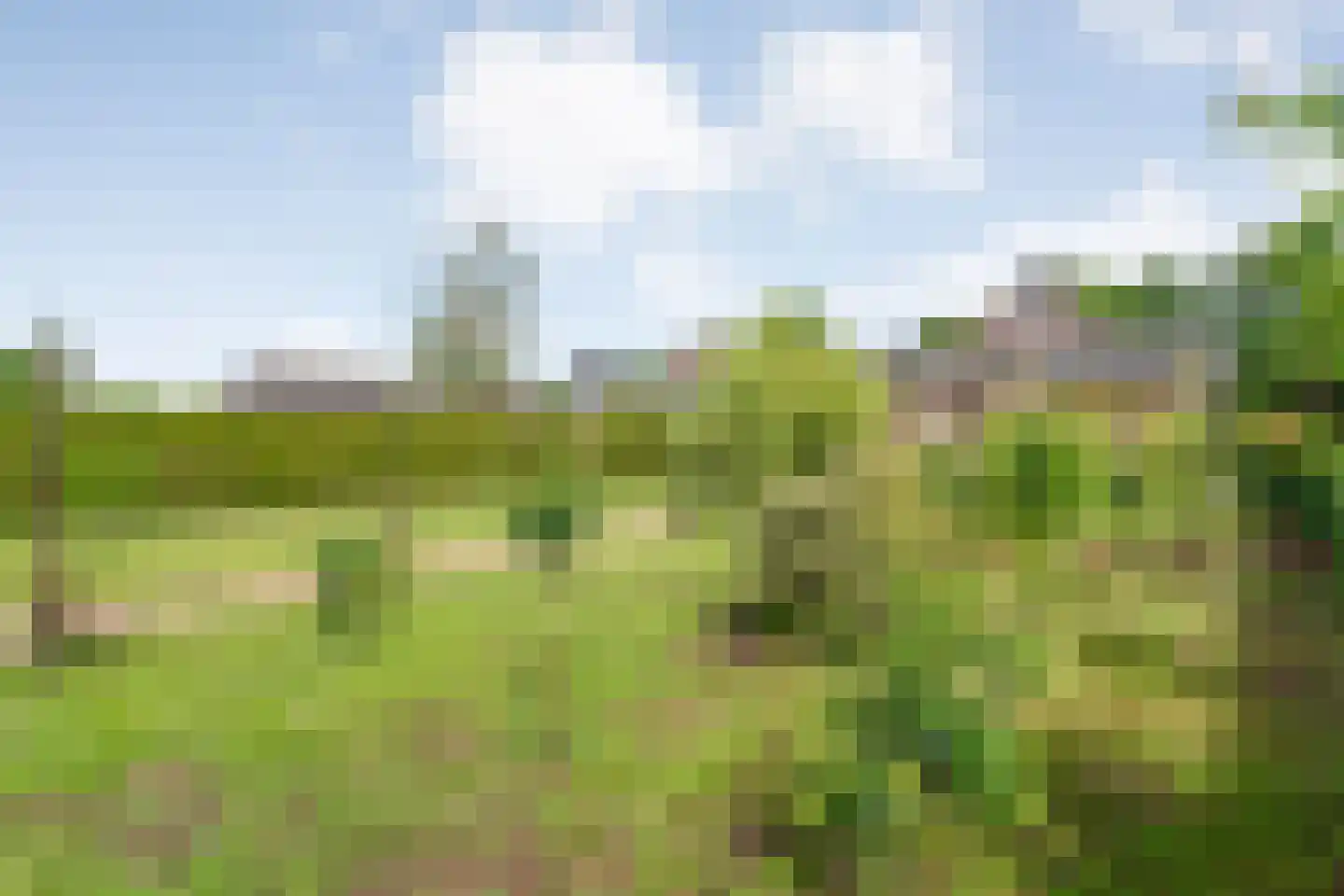 Hoofdweg 32 De Krim thumbnail 61
