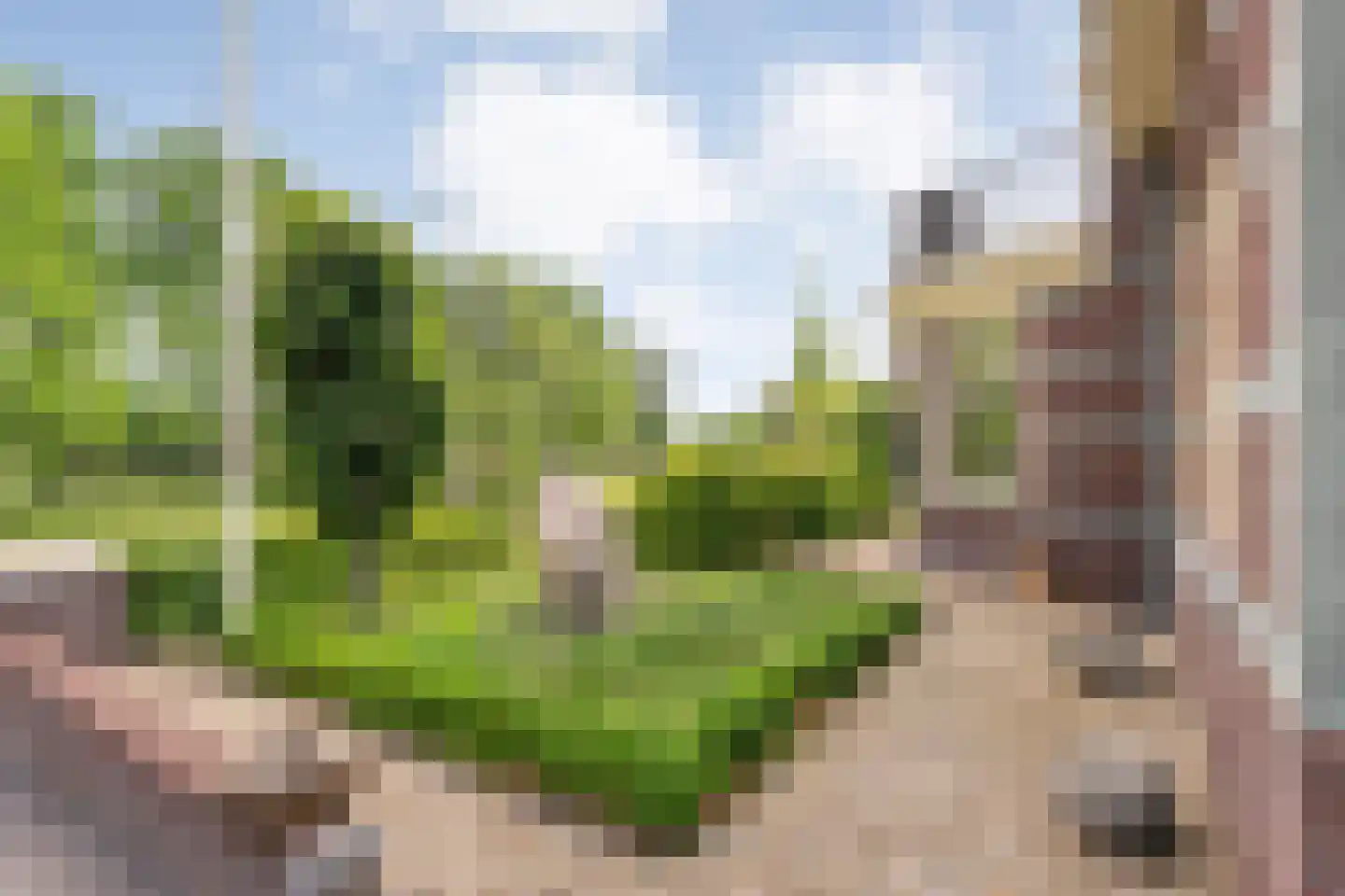 Hoofdweg 32 De Krim thumbnail 68