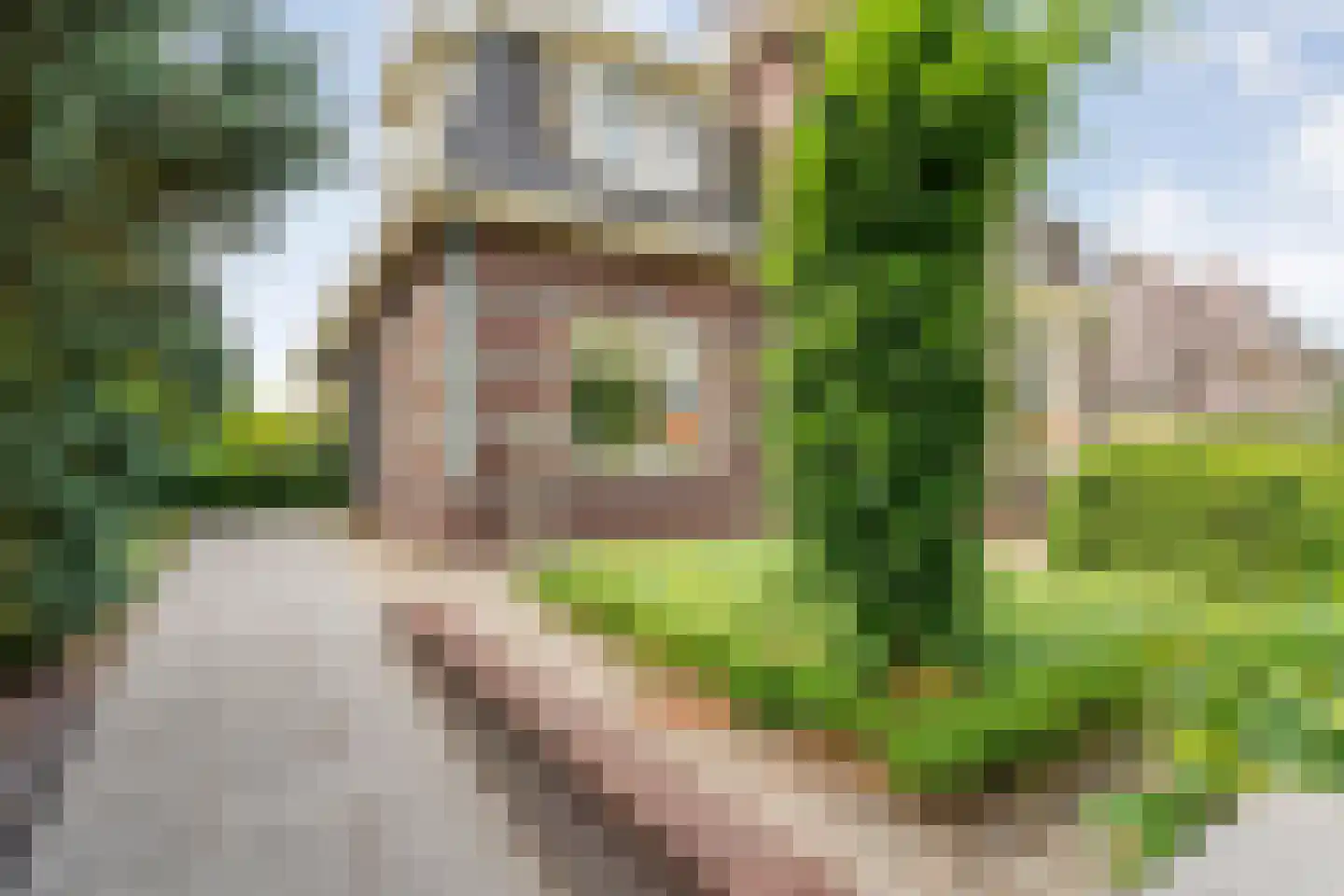 Hoofdweg 32 De Krim thumbnail 69