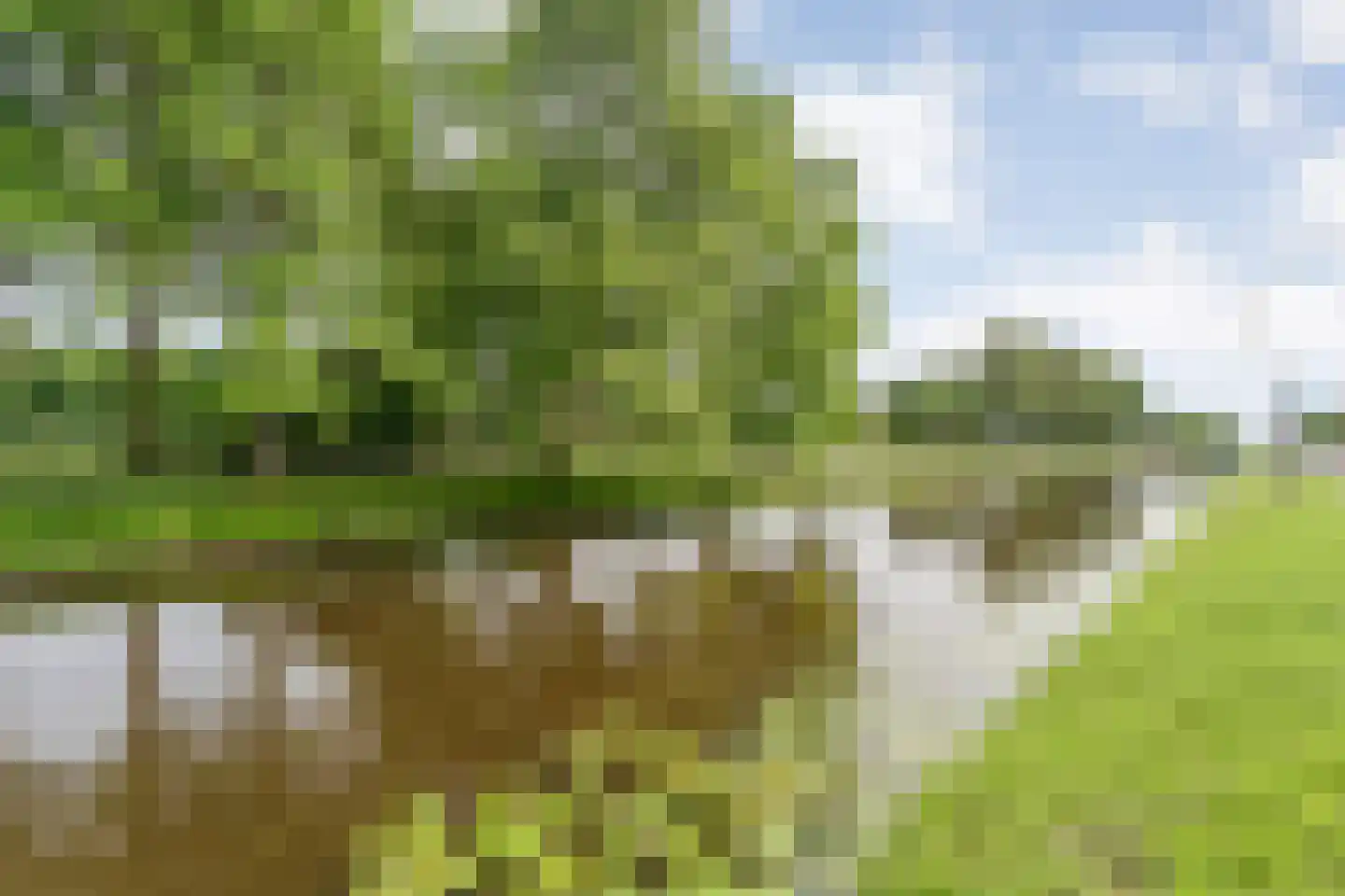 Hoofdweg 32 De Krim thumbnail 73