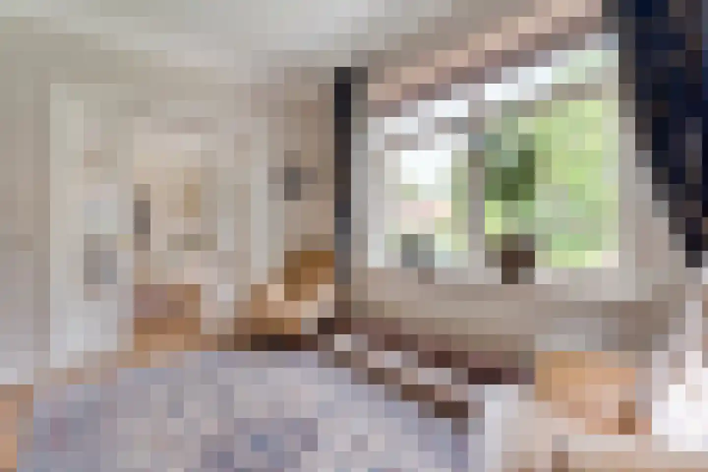 Hoofdweg 32 De Krim thumbnail 8