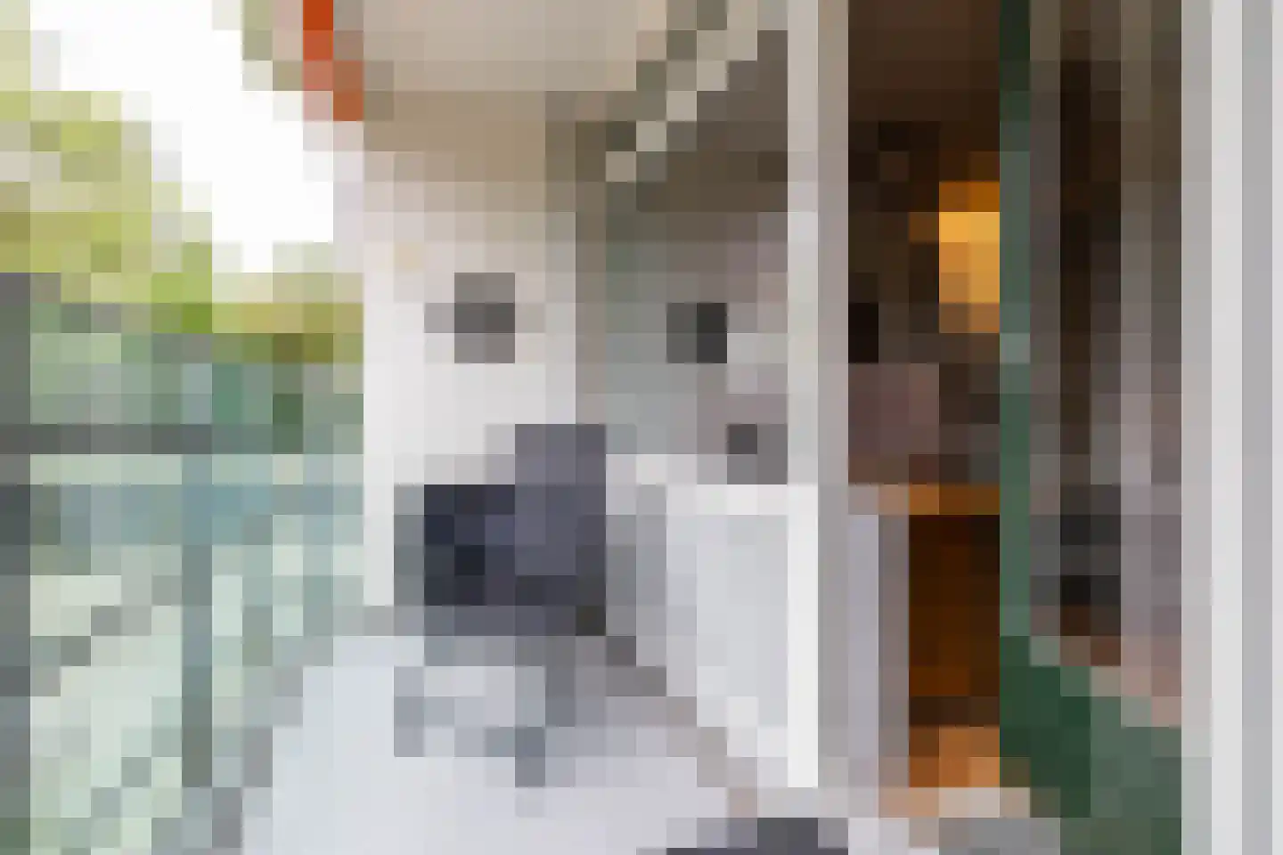 Hoofdweg 320 Paterswolde thumbnail 33