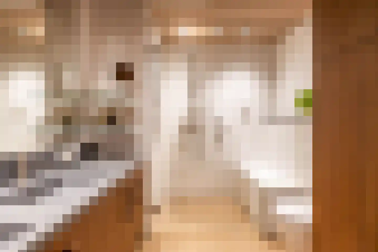 Hoofdweg 320 Paterswolde thumbnail 38
