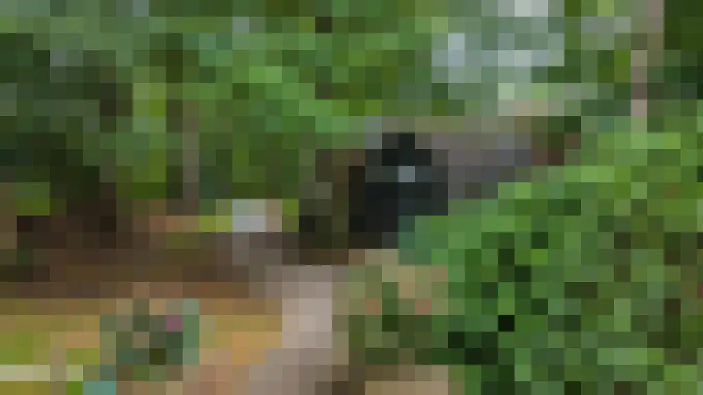 Hoofdweg 320 Paterswolde thumbnail 47