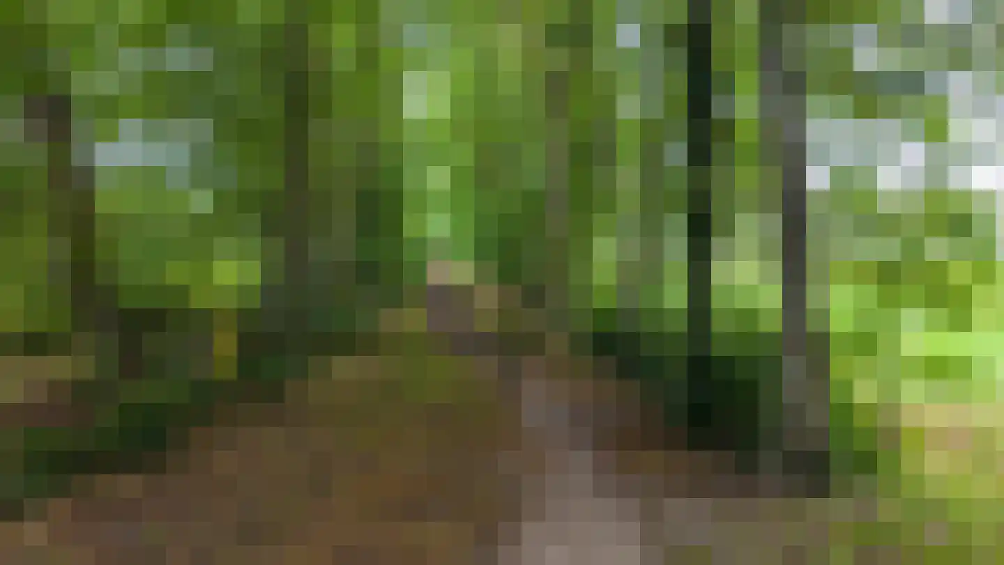 Hoofdweg 320 Paterswolde thumbnail 48