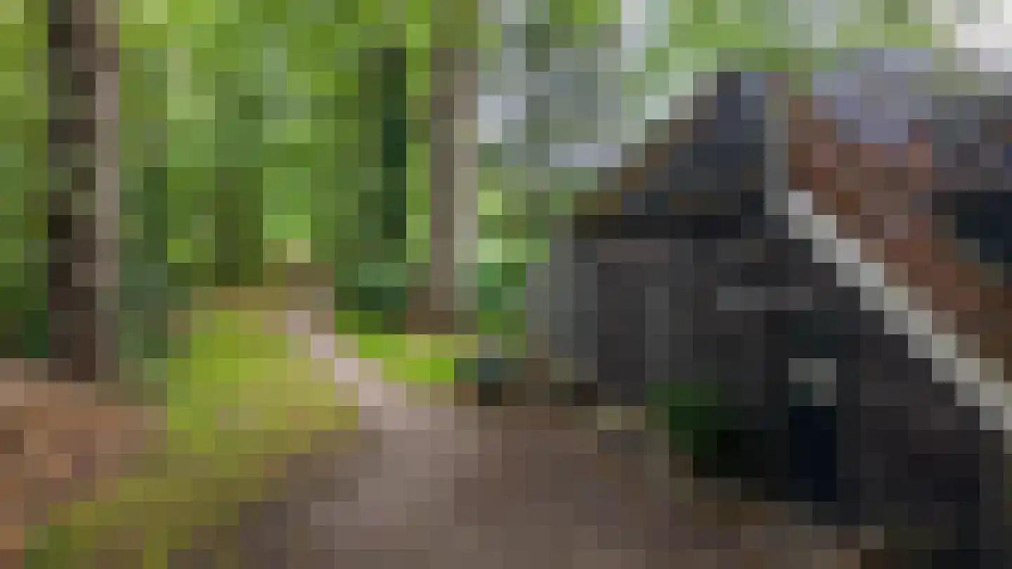 Hoofdweg 320 Paterswolde thumbnail 49