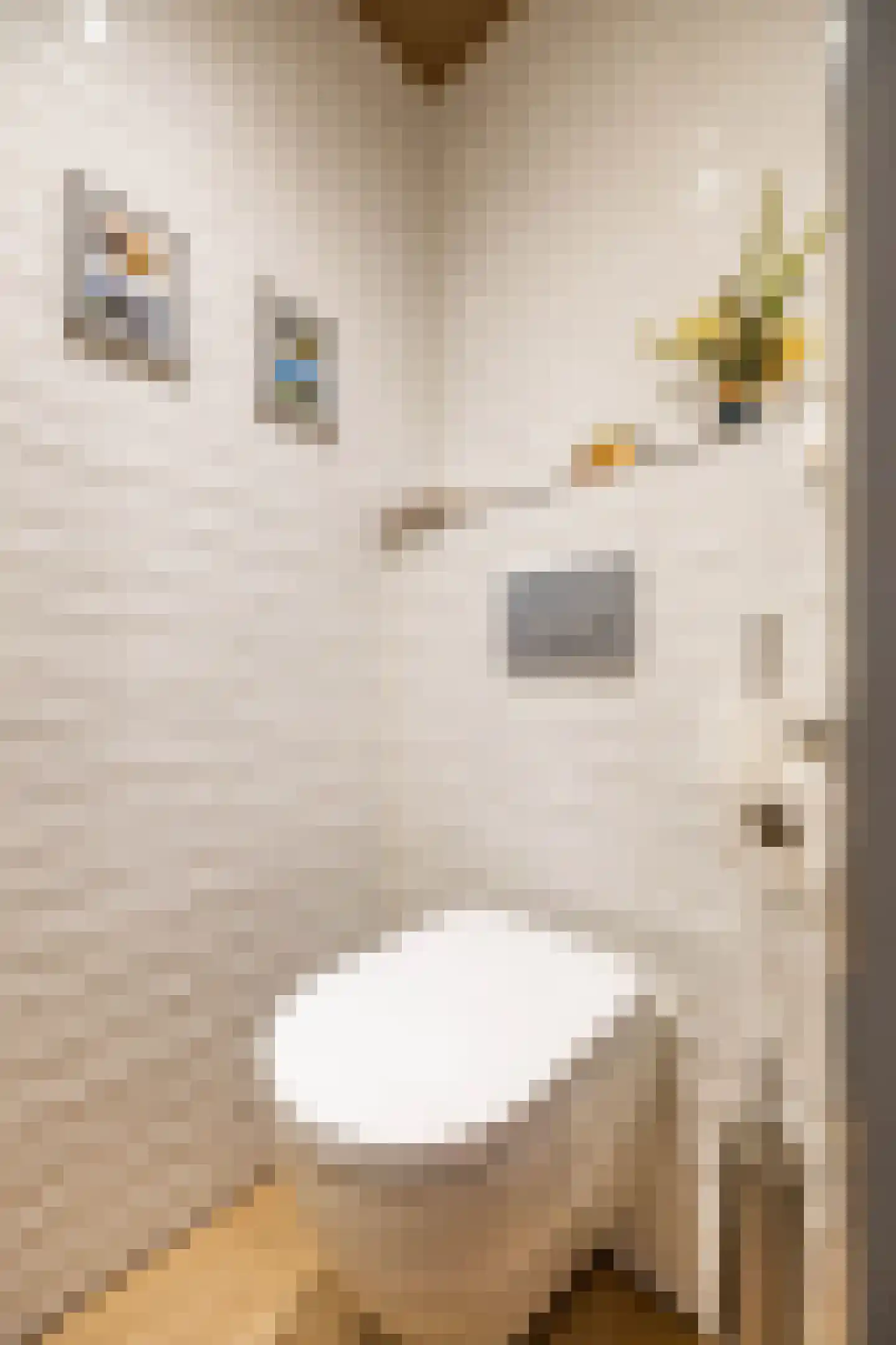 Hoofdweg 320 Paterswolde thumbnail 6