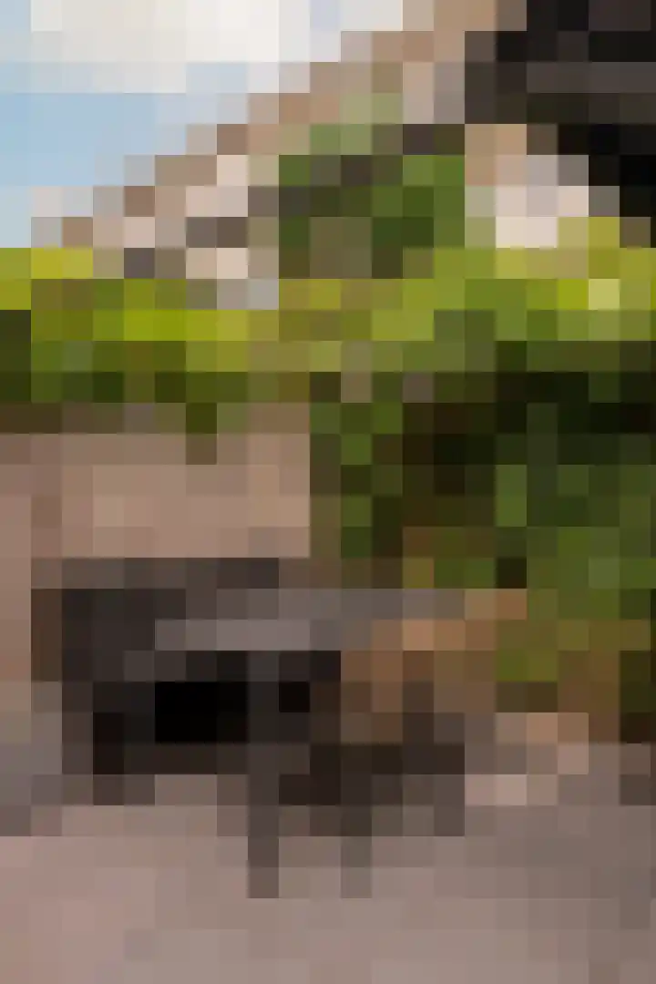 Hoofdweg 326 3 Amsterdam thumbnail 23
