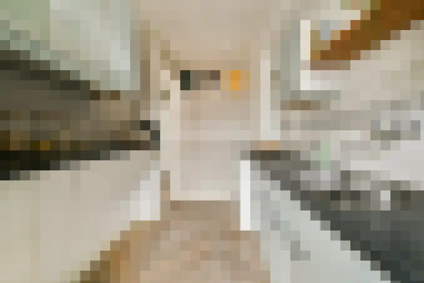 Hoofdweg 327 2 Amsterdam thumbnail 11