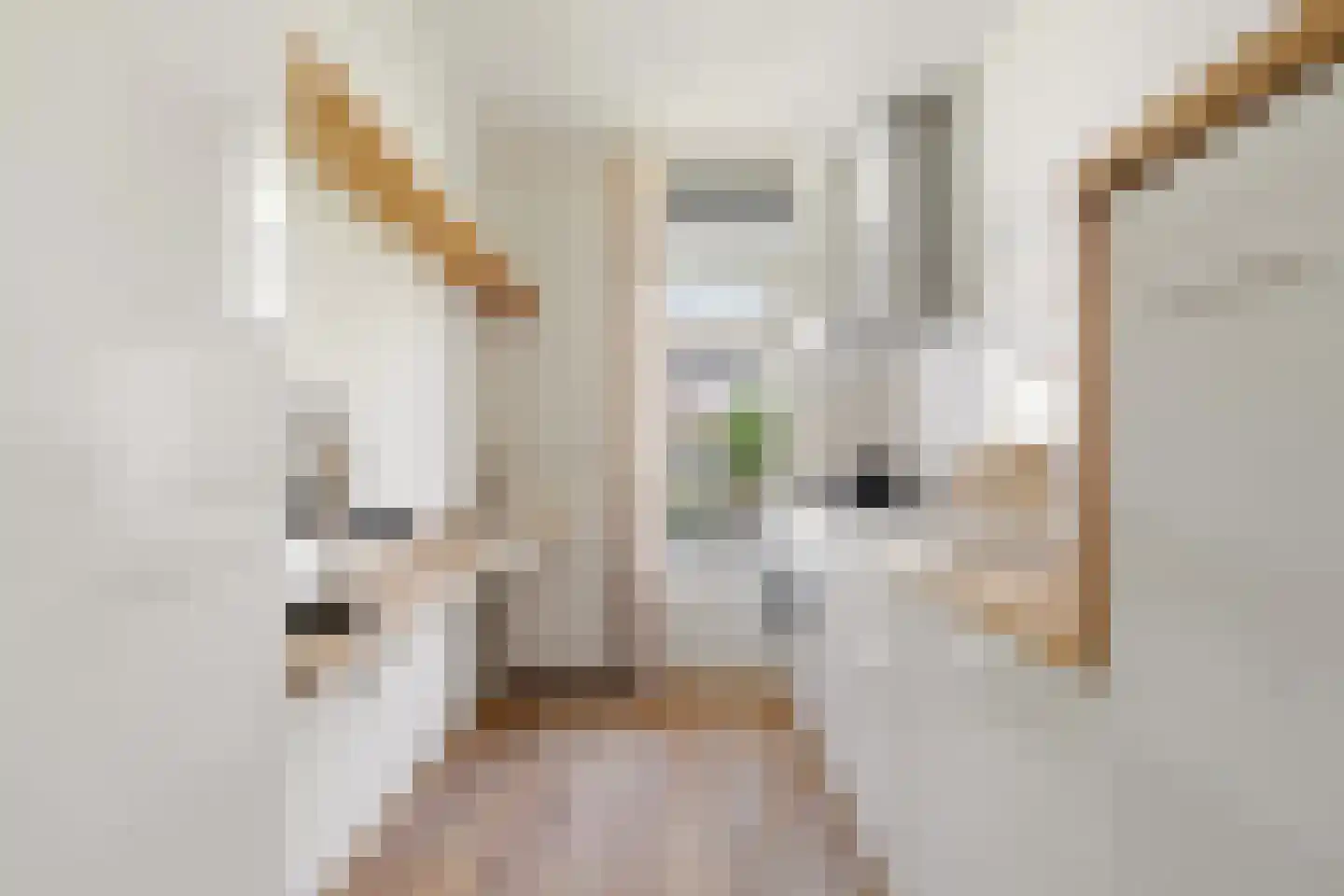 Hoofdweg 328 1 Amsterdam thumbnail 18