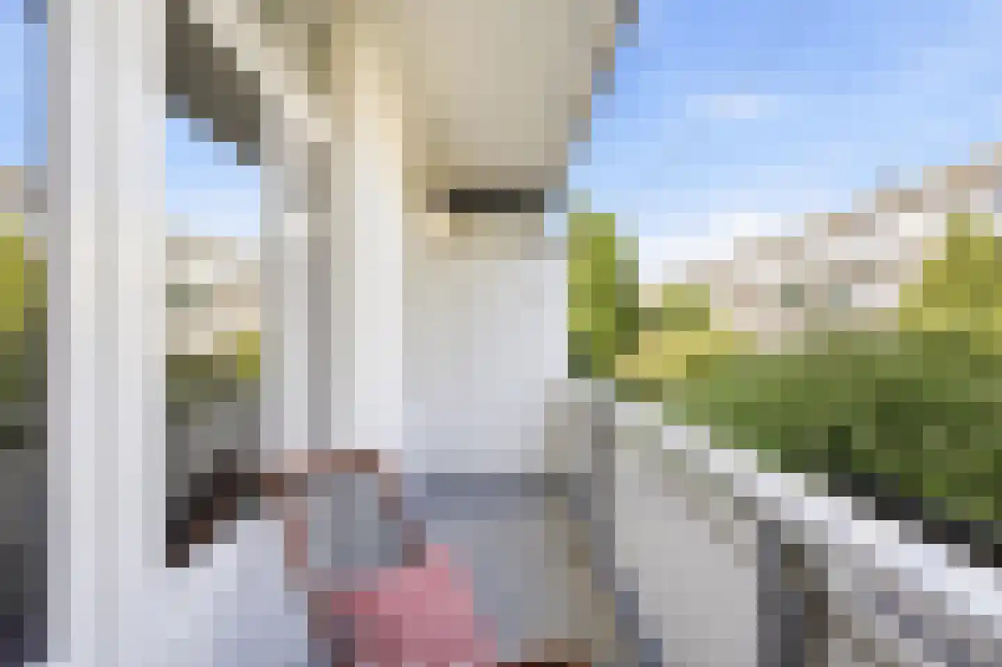 Hoofdweg 328 1 Amsterdam thumbnail 21