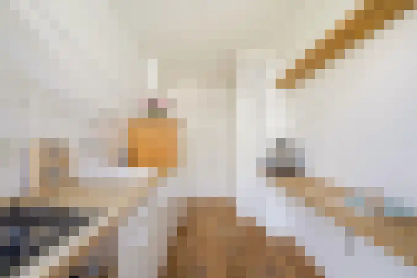 Hoofdweg 328 1 Amsterdam thumbnail 22
