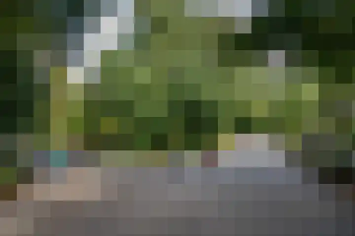 Hoofdweg 328 3 Amsterdam thumbnail 42