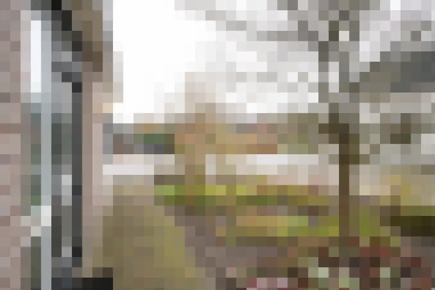 Hoofdweg 33 Loenen thumbnail 29