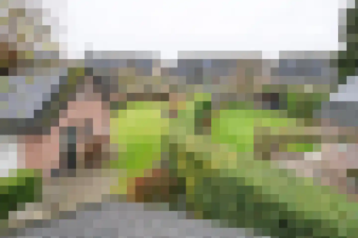 Hoofdweg 33 Loenen thumbnail 4