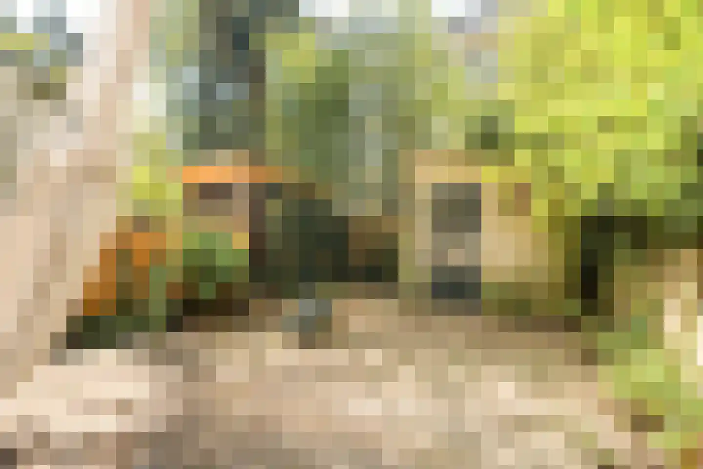 Hoofdweg 335 3 Amsterdam thumbnail 20