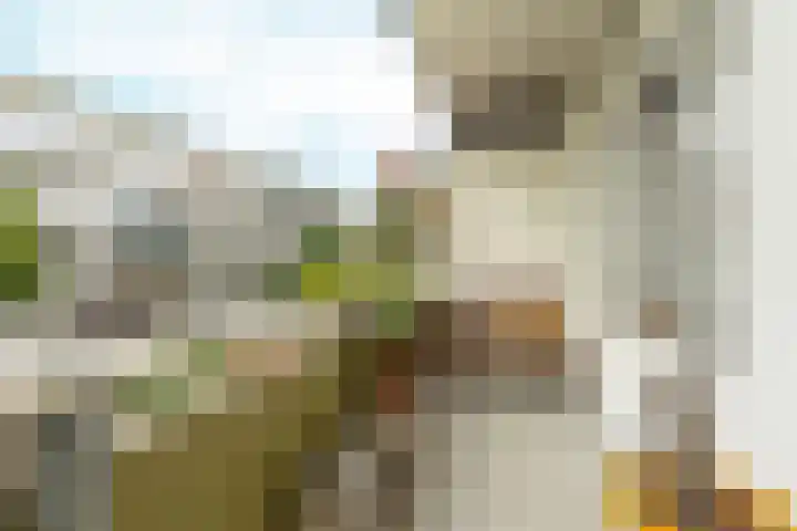 Hoofdweg 336 1 Amsterdam thumbnail 10