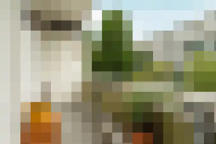 Hoofdweg 336 1 Amsterdam thumbnail 11