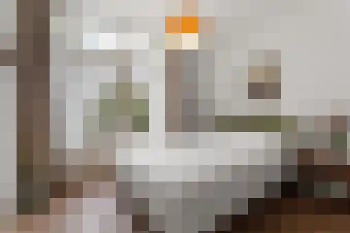Hoofdweg 336 1 Amsterdam thumbnail 17
