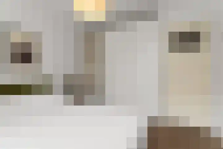 Hoofdweg 336 1 Amsterdam thumbnail 18