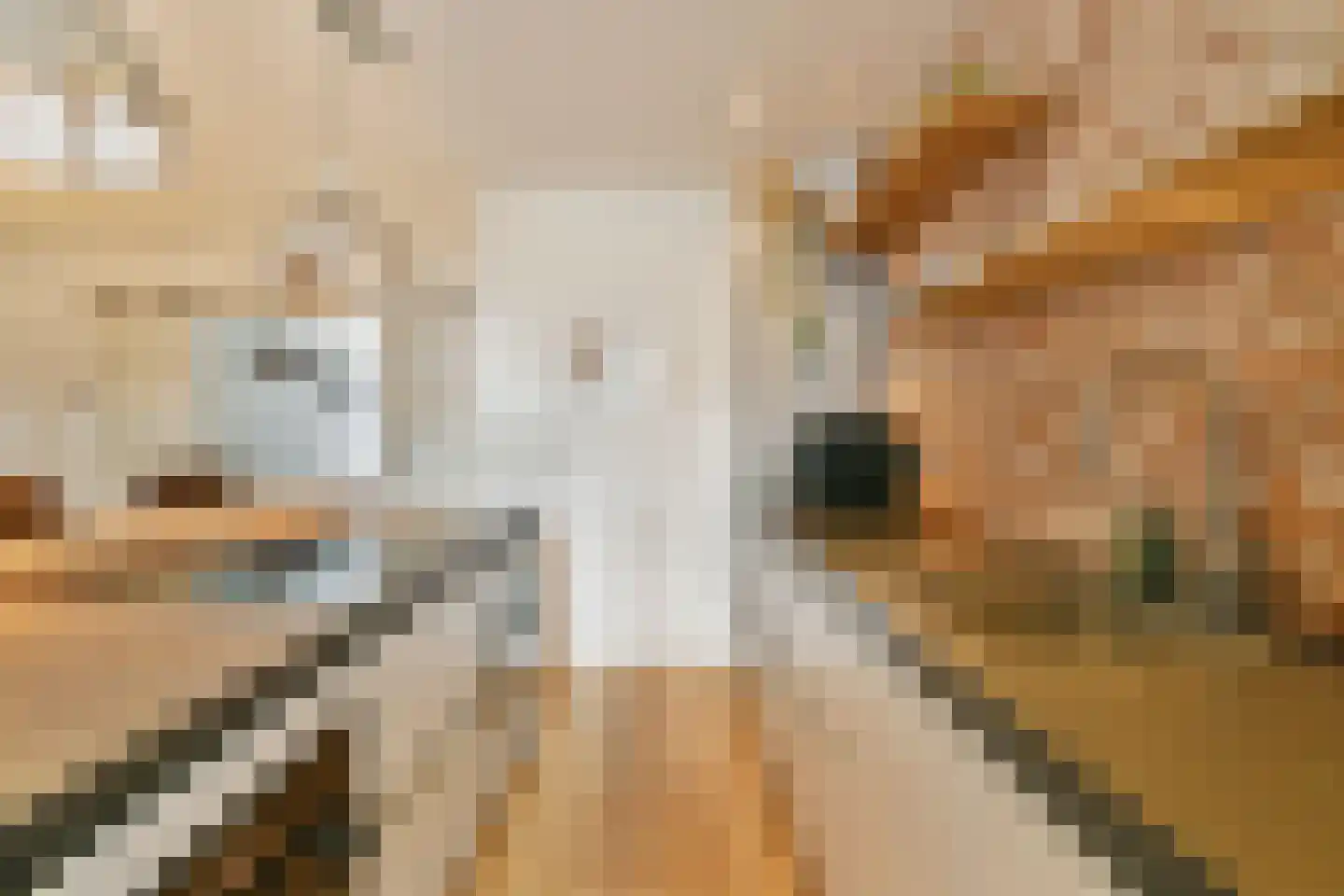 Hoofdweg 339 H Amsterdam thumbnail 7
