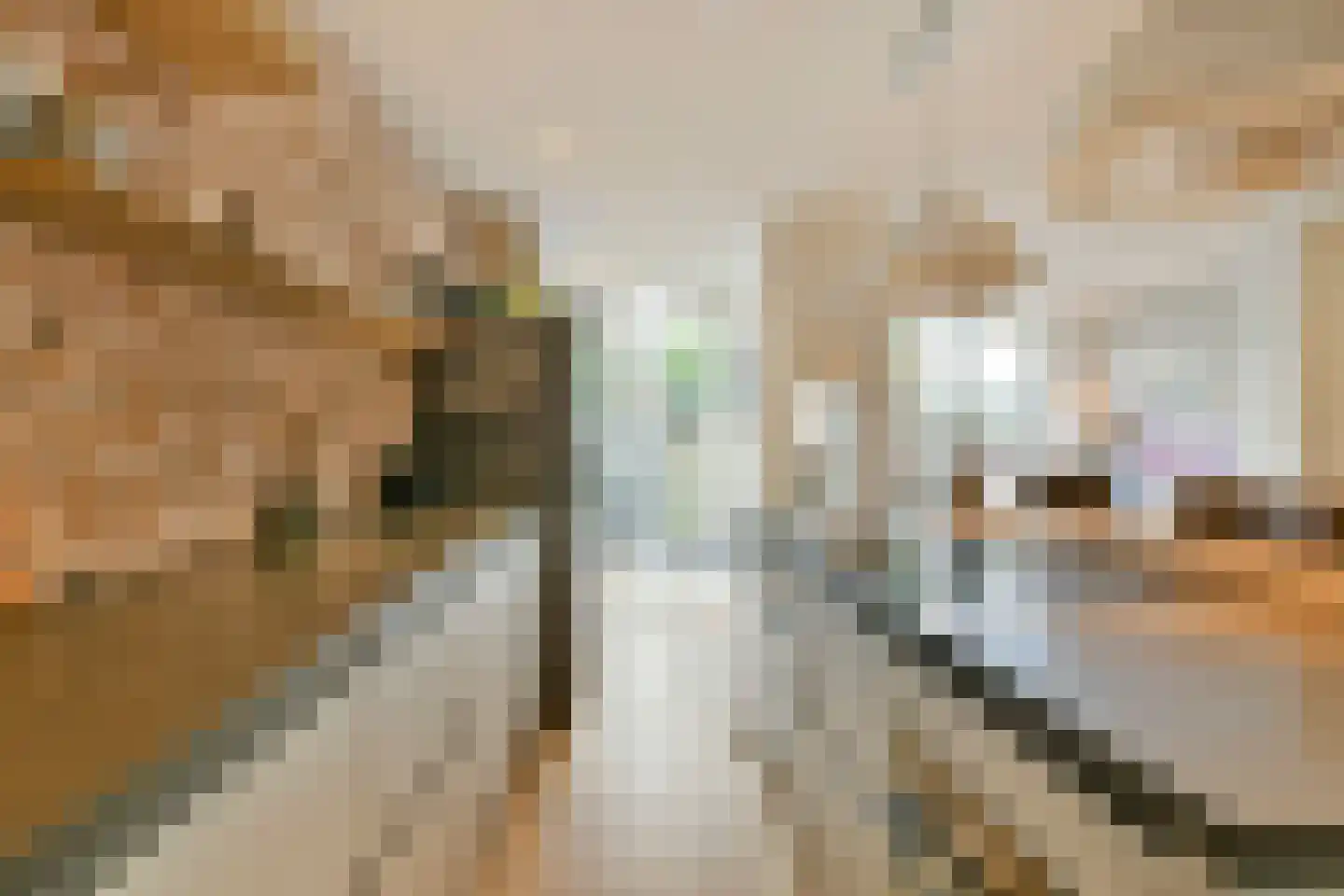 Hoofdweg 339 H Amsterdam thumbnail 8