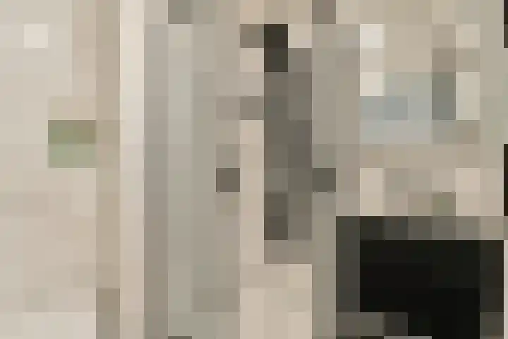 Hoofdweg 343 3 Amsterdam thumbnail 10