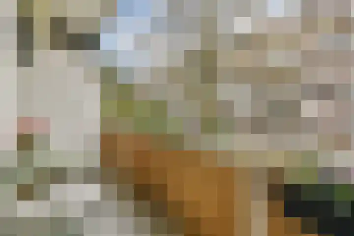 Hoofdweg 343 3 Amsterdam thumbnail 13