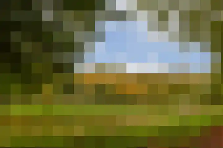 Hoofdweg 343 3 Amsterdam thumbnail 18