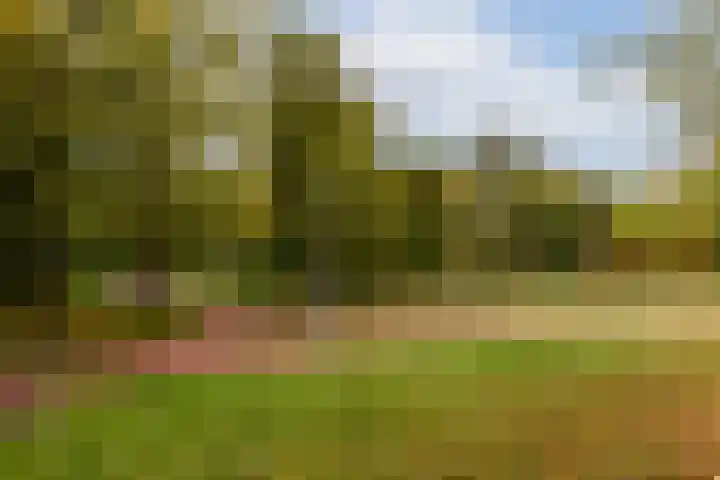Hoofdweg 343 3 Amsterdam thumbnail 19