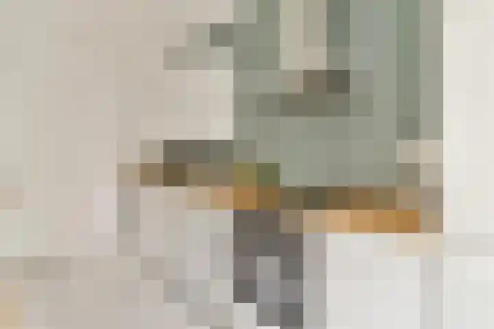 Hoofdweg 343 3 Amsterdam thumbnail 9