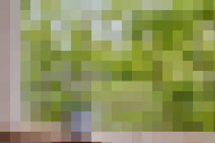 Hoofdweg 35 Burdaard thumbnail 10