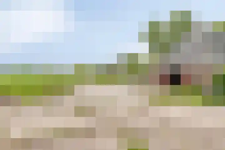 Hoofdweg 35 Burdaard thumbnail 29