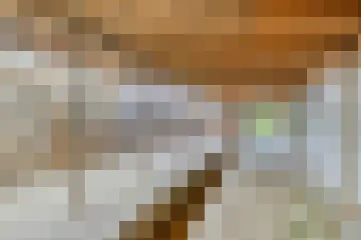 Hoofdweg 35 Burdaard thumbnail 31