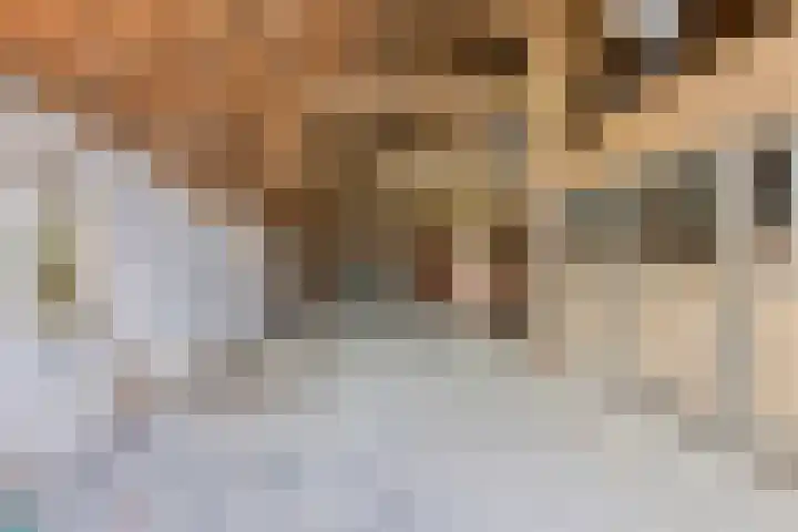 Hoofdweg 35 Burdaard thumbnail 34