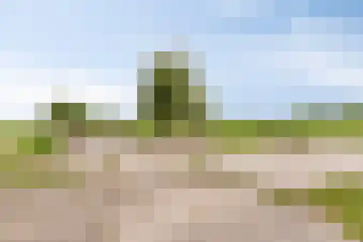 Hoofdweg 35 Burdaard thumbnail 38